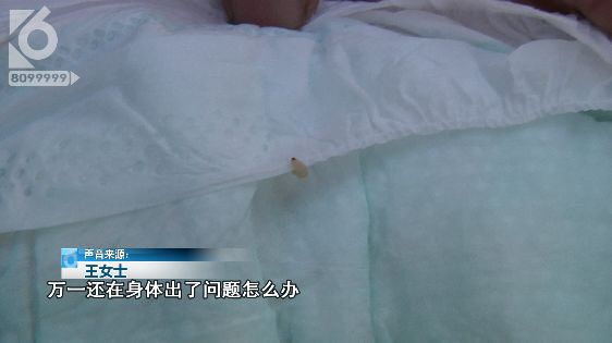 京东纸尿裤有虫,艾薇儿纸尿裤有虫么