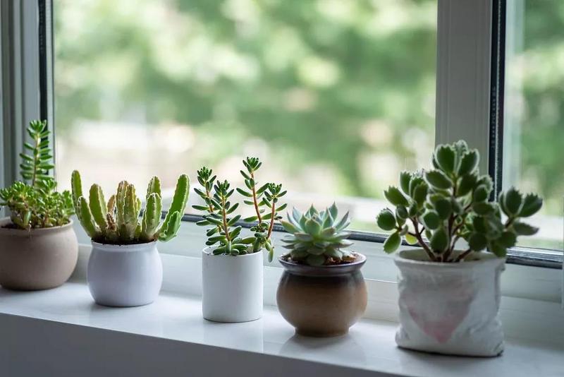 单位四险转出网上经办怎么操作,公司四险网上操作