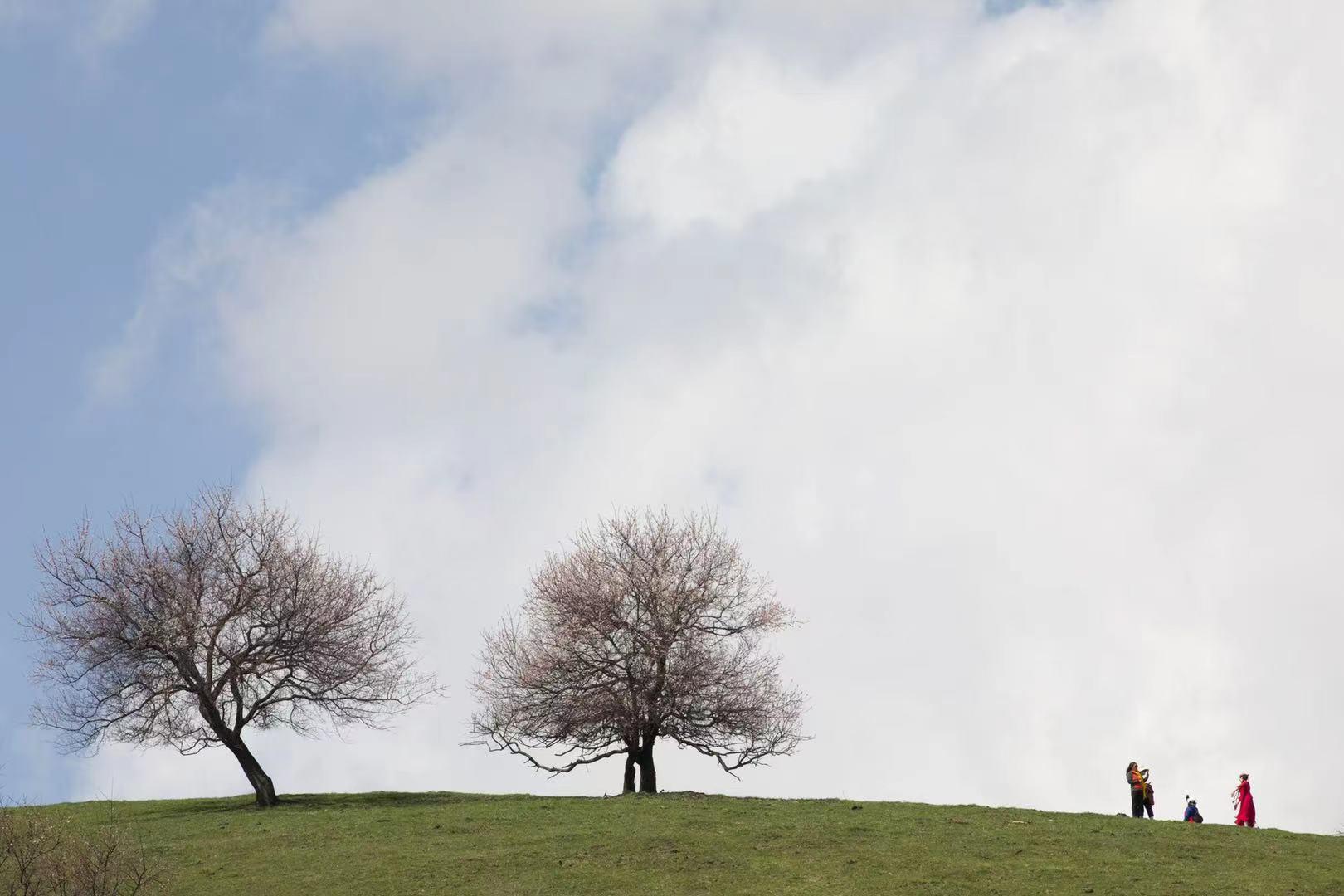 摄影师教你制作滤镜,摄影滤镜怎么弄