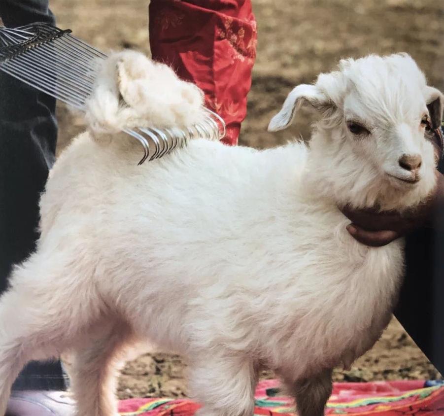 “穿着1万6的羊绒衫上班,老板夸我像章泽天”