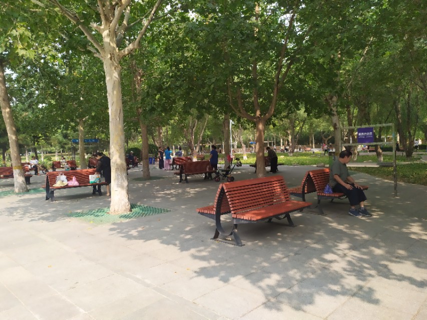 东环公园冬季图片,东环公园景点的介绍