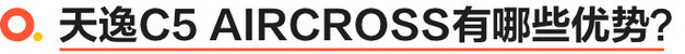 天逸c5的舒适感媲美哪些车,c5aircross天逸phev