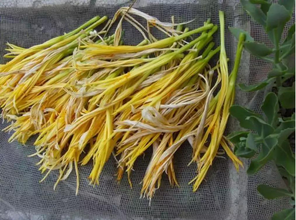 吃新鲜黄花菜中毒在家自救办法,黄花菜怎样吃才能避免中毒