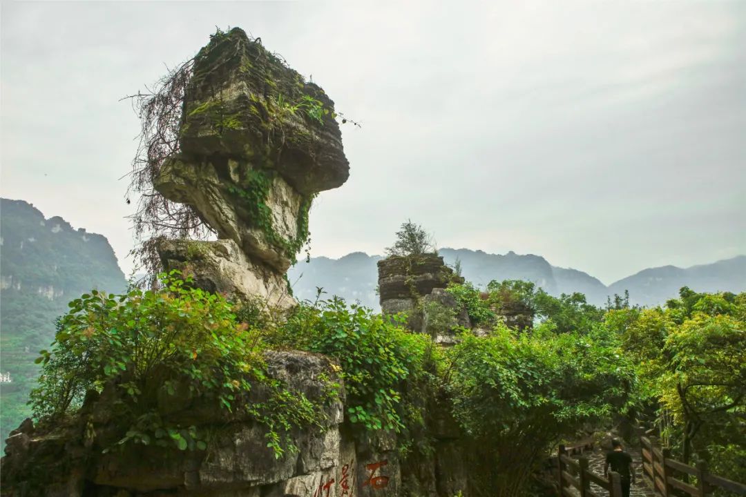 火车豪华旅游专列卧铺,空调旅游专列