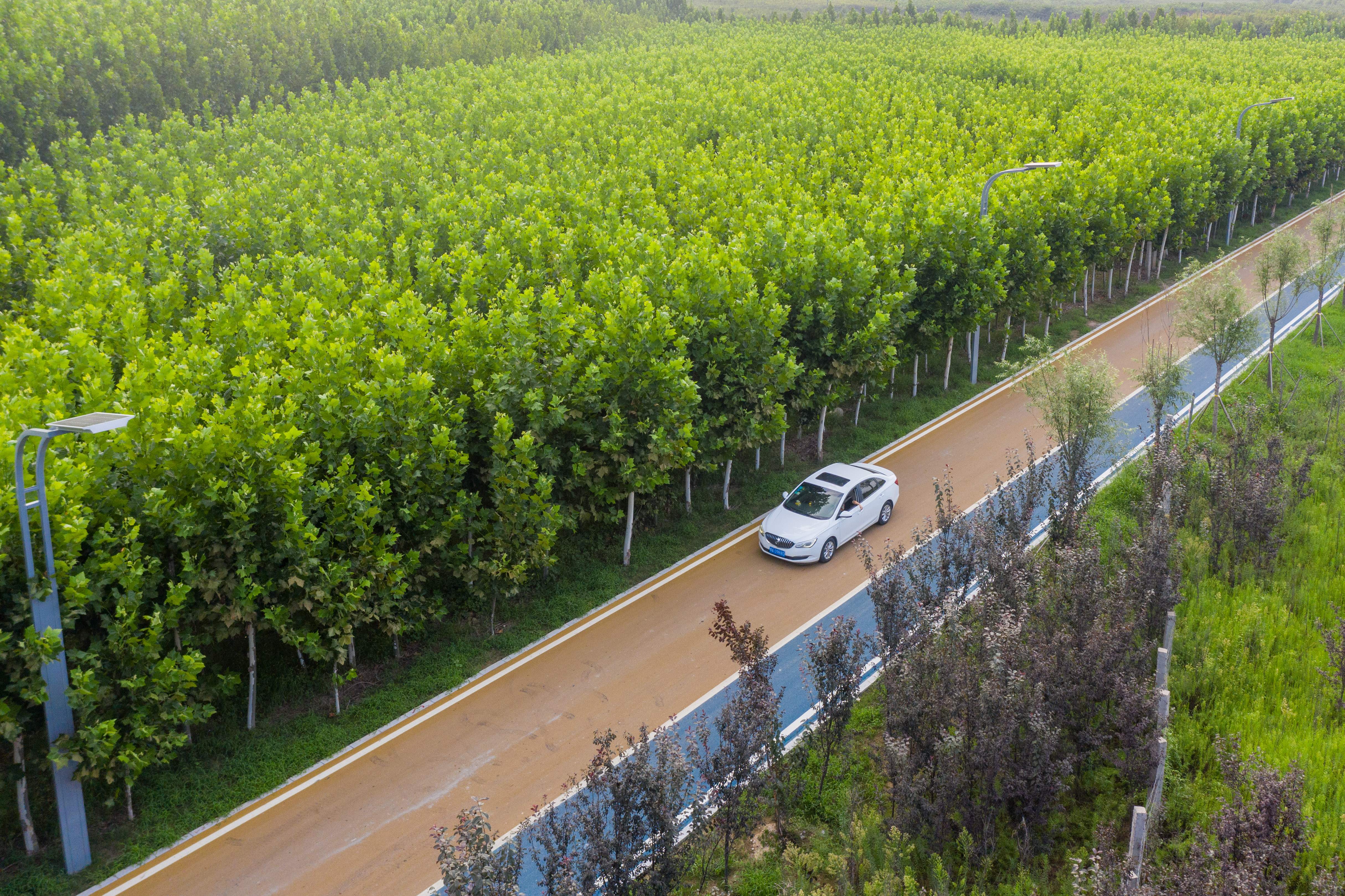 郑州黄河滩地公园游览图,河南郑州黄河湿地公园线路图