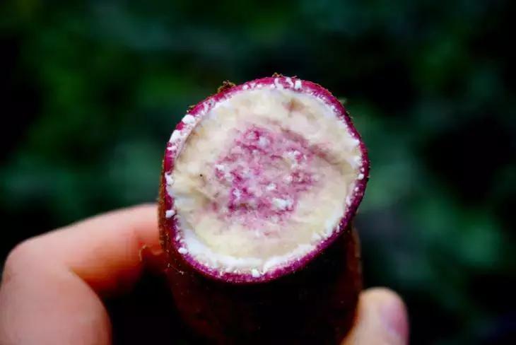 广州南沙区飞速发展,即将崛起的广州南沙区