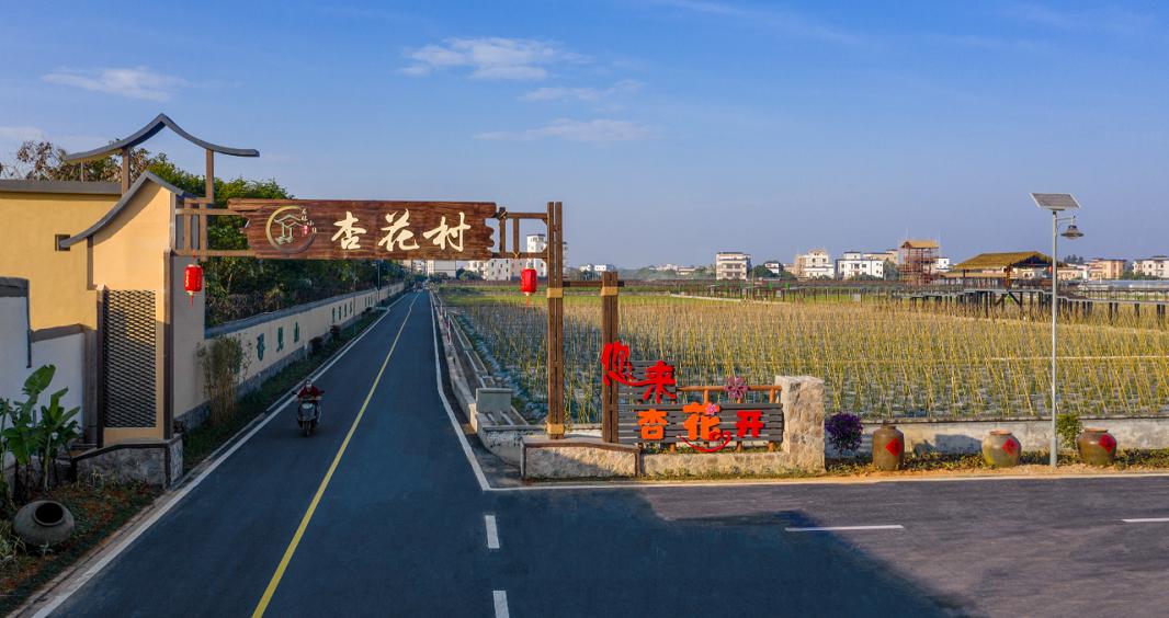 高州分界乡村振兴捐款,高州市分界镇乡贤大会