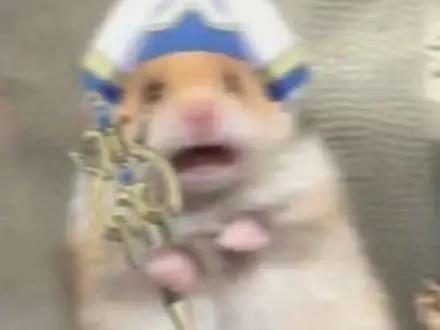 唾液能防蛀牙吗,唾液能抵御细菌吗