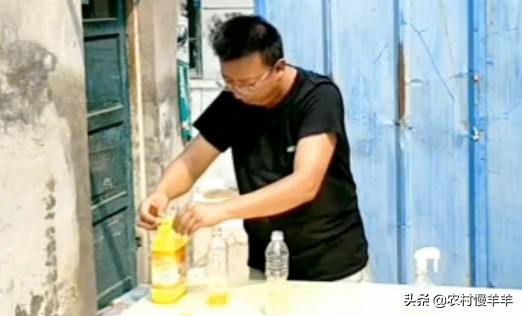 种菜招蚊子怎么办,养花蚊子多用什么办法去除蚊虫