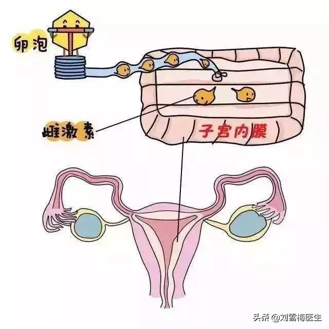 内膜薄了怀孕会怎么样,内膜薄怀孕了有什么风险