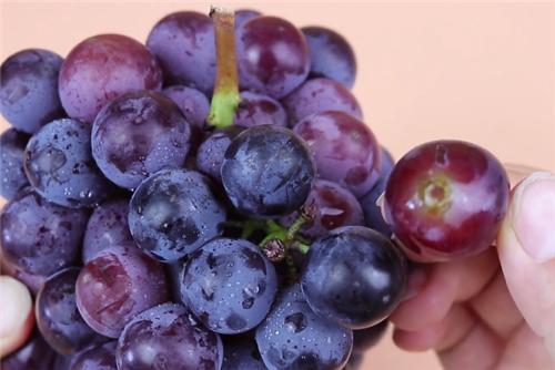 清洗葡萄的正确方法青葡萄,清洗葡萄的正确做法