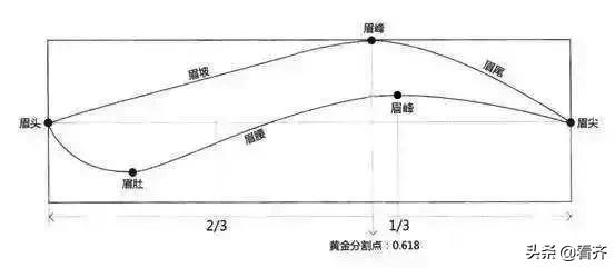简单的眉毛的画法,新手小白眉毛怎么画