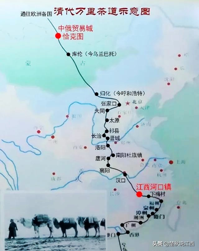 江西武陵红茶,江西最好的红茶