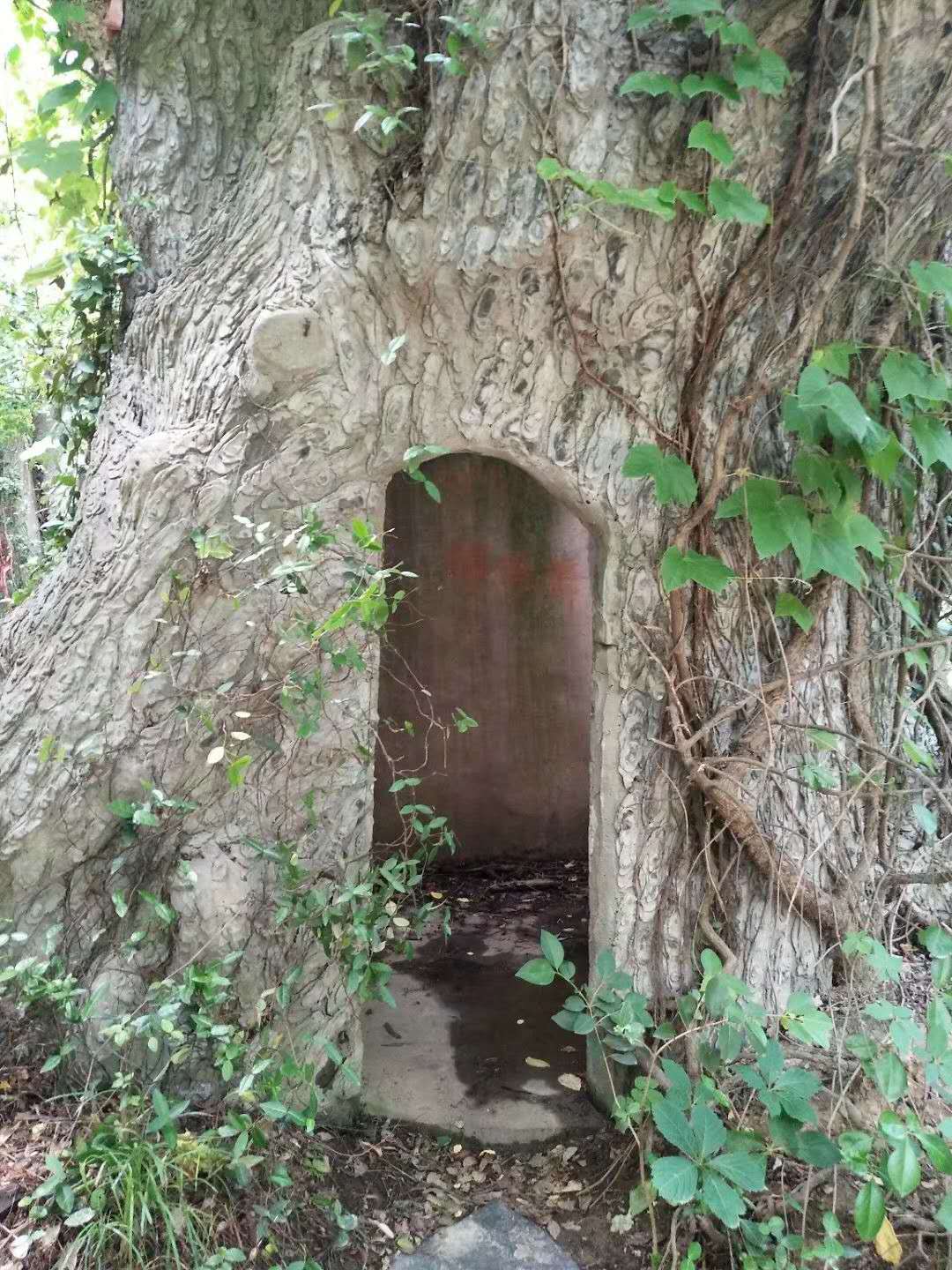 中国江南第一村1000年历史,中国第一江南水乡在哪