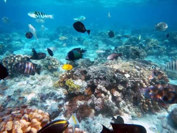 蜜月旅行就去这些海岛你值得拥有,10个最适合蜜月旅行的海岛