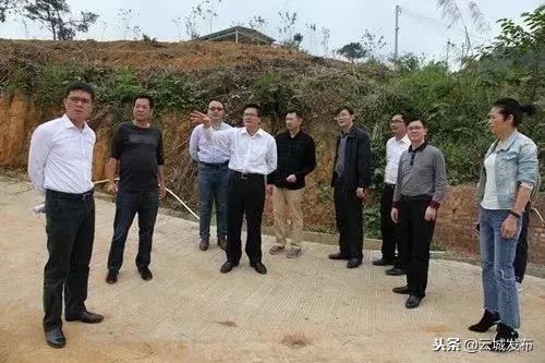 云城区委书记徐树新调研督导南盛镇脱贫攻坚工作时强调：按时高质量完成好精准扶贫各项目标任务