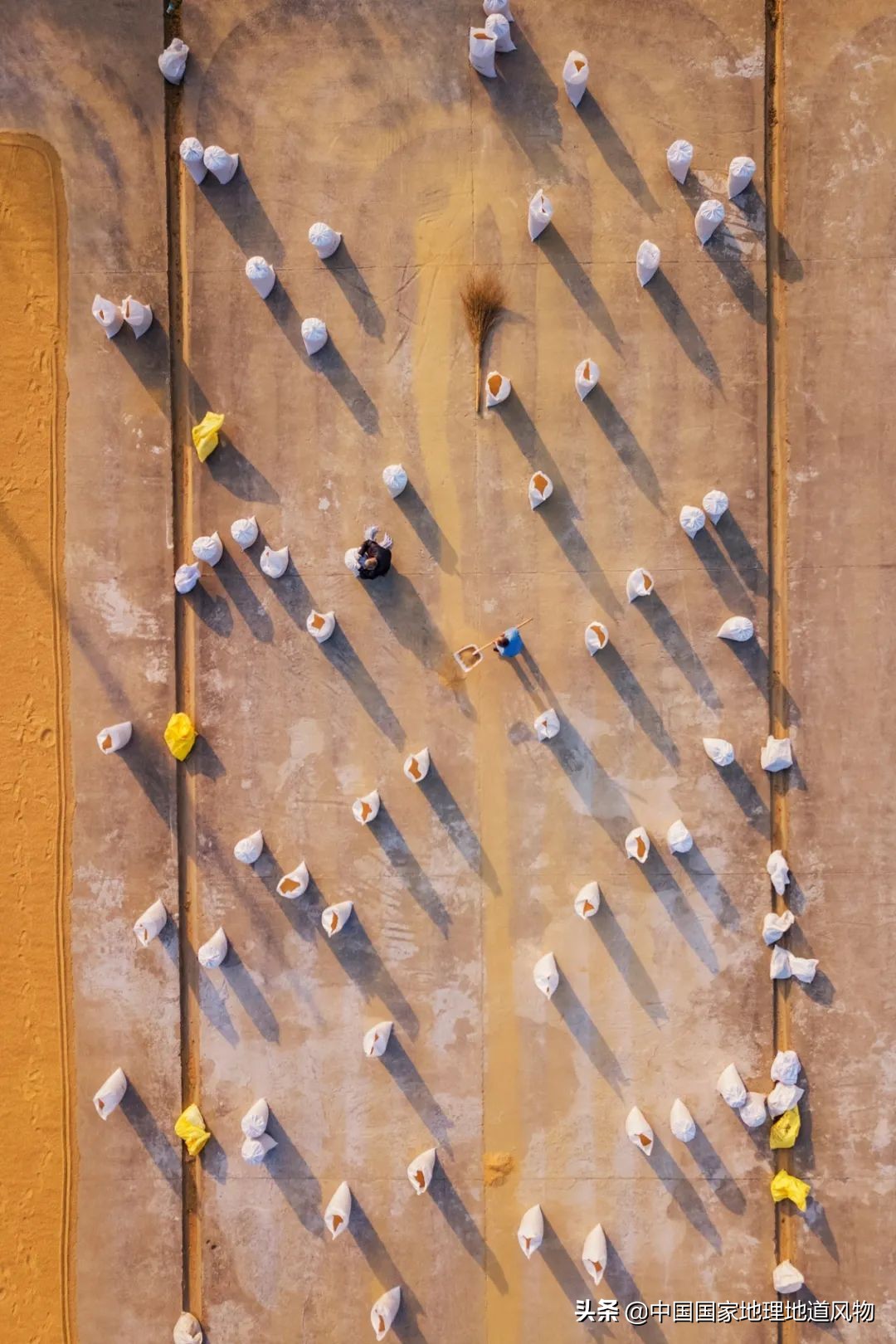 黑龙江和山东谁是农业大省,黑龙江和河南谁是第一粮仓