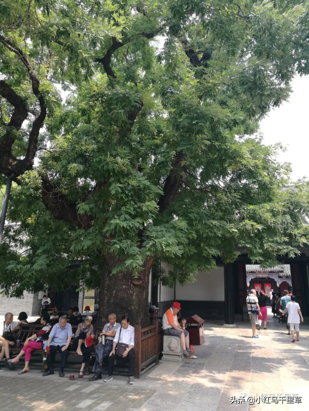 世界文化遗产曲阜孔庙孔林孔府,中国的世界文化遗产曲阜孔庙