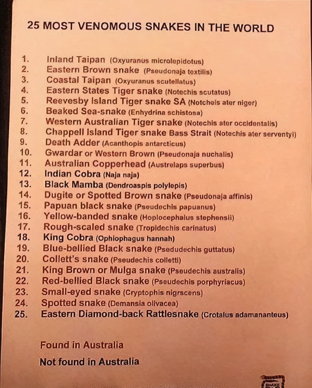 来了澳洲才知道，原来这些都是真的