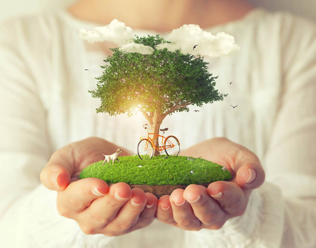 作为博士需要注意什么,中科大博士事件