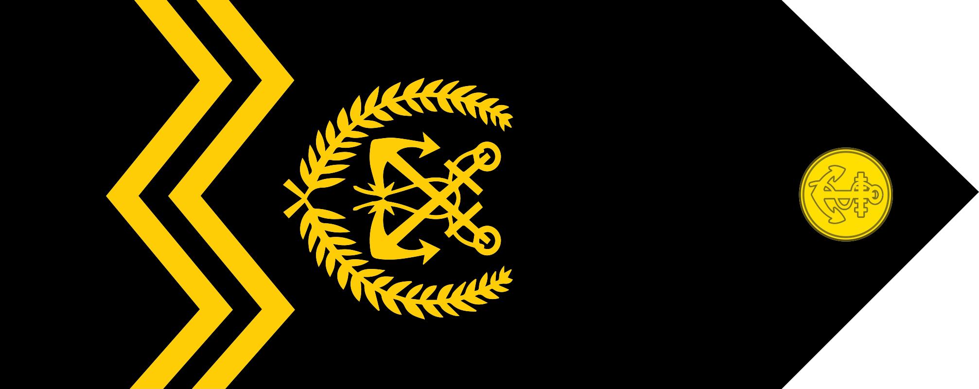 各国军衔标识韩国,马来西亚军衔等级对照表