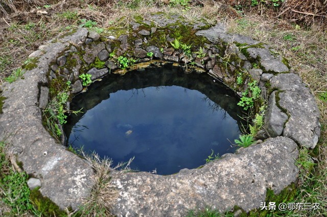 农村过去水井里,为什么总要养几条小鱼,挑水时候先看看鱼再挑?