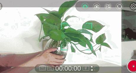 魔爪mini-mx软件教程,魔爪miniapp教程