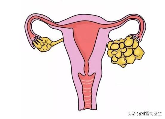 江门市中心医院中医科刘雪梅,怎样查卵巢功能好不好