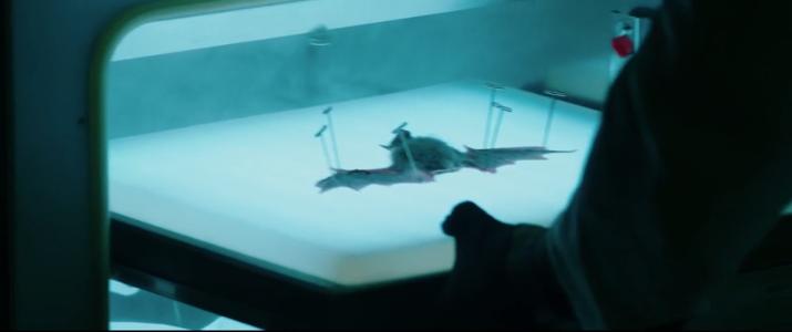 刺激！2020上不了的超级英雄片，这波全都“报复性”回归