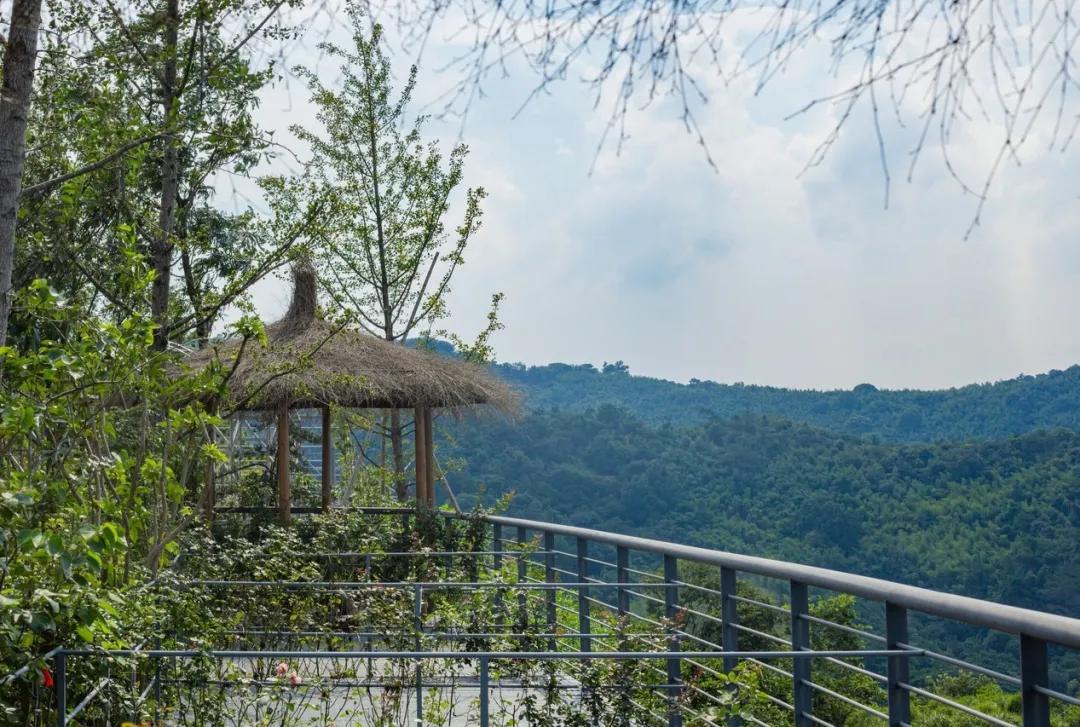 莫干山原木风绿野仙踪花园民宿,莫干山桃坡探险乐园绿野仙踪