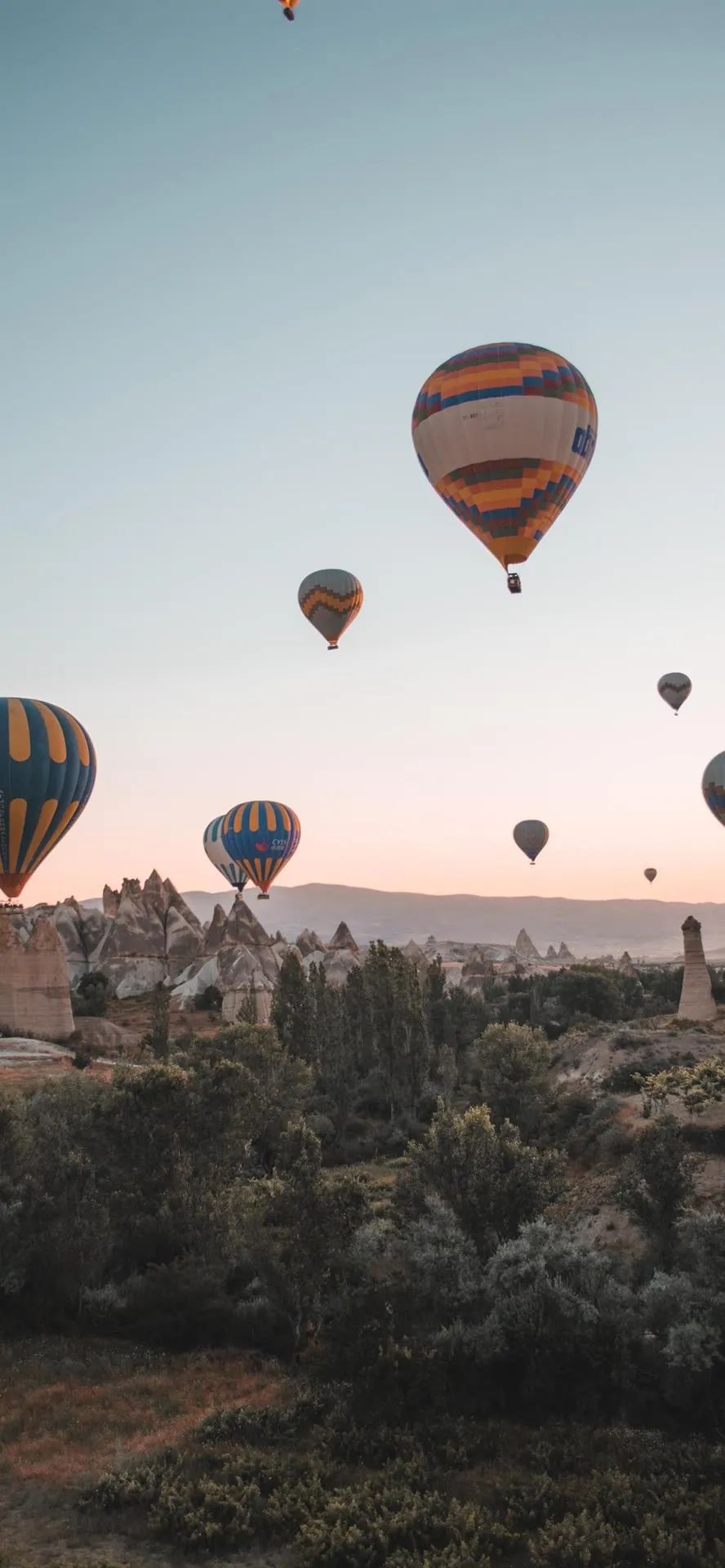壁纸不要寄希望于别人多看自己,壁纸接受事与愿违