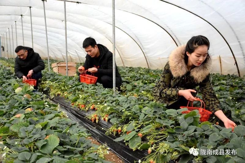 我叫成县，这是我2019年的自拍照~