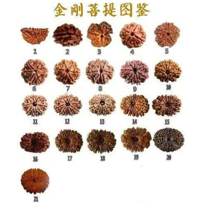 这些怪模怪样的文玩，却受到大家热烈欢迎的追捧，价值还不菲呢