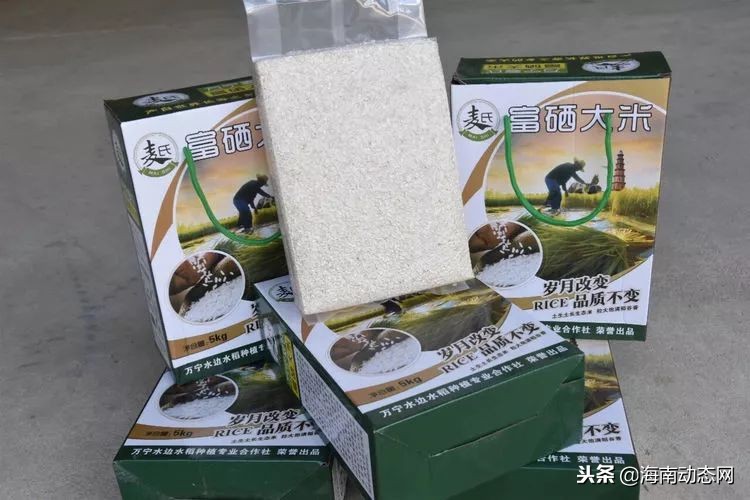 在海南万宁感受海滩风光,海南万宁必吃