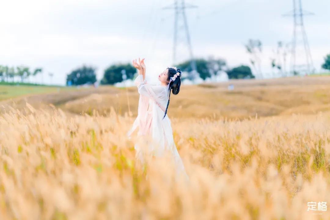 深圳周末打卡地点排行榜,深圳秋季打卡攻略