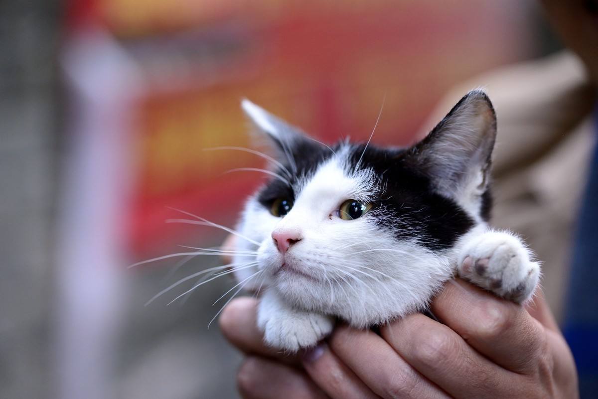 你醒醒抖音,你醒醒完整版视频