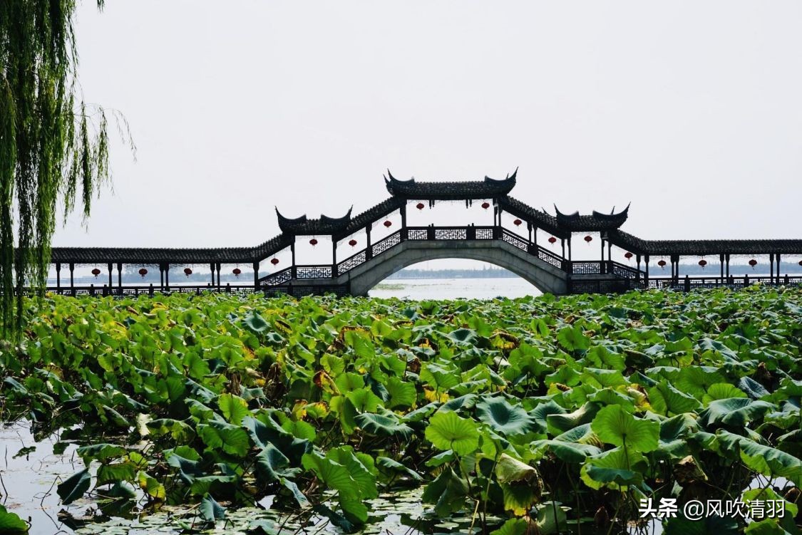 苏州，被忽视的一座养老宜居地，很多人“逃离”一线城市来此生活