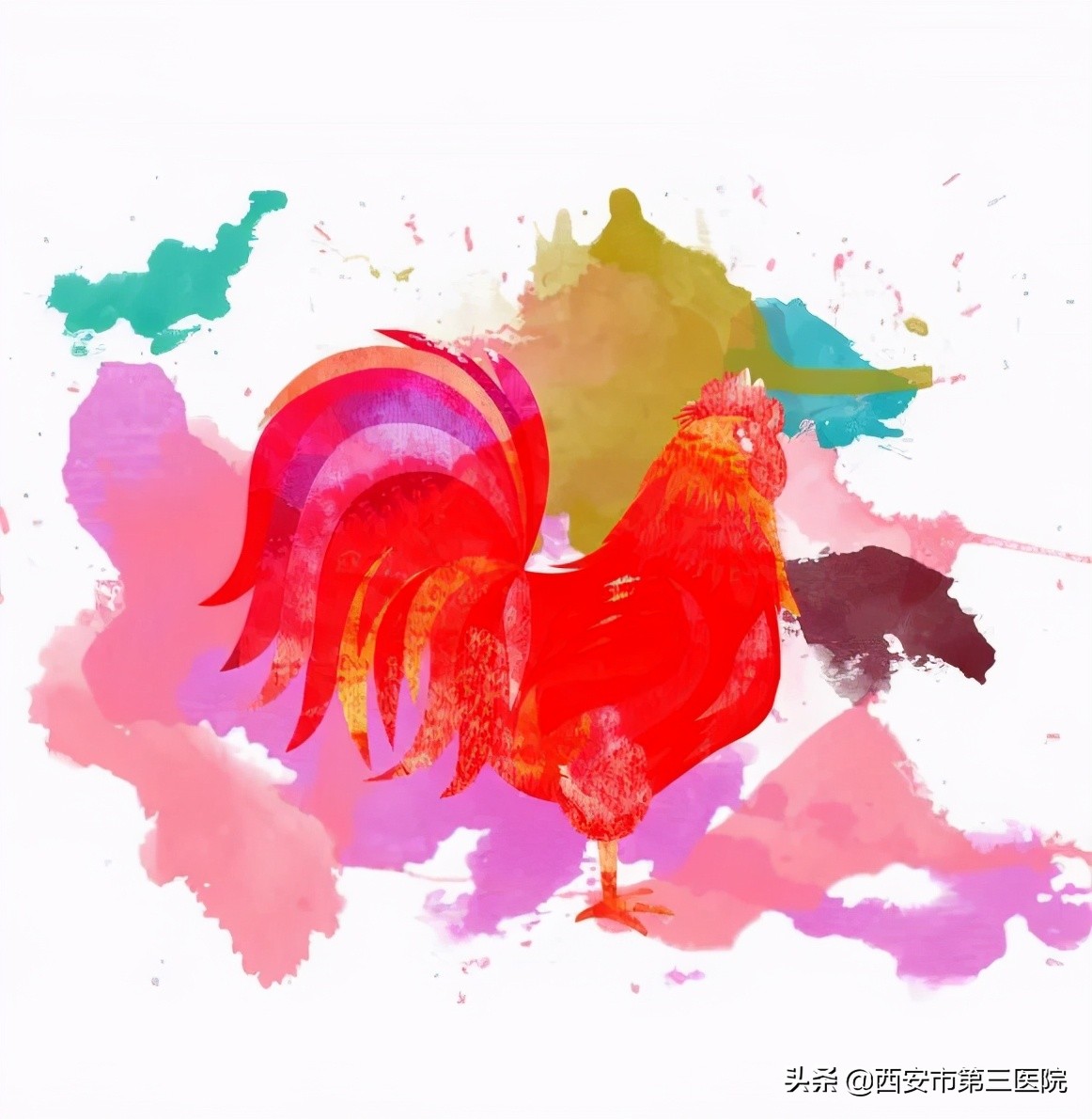 打鸡血跟不打鸡血有什么区别,打鸡血还是打鸡血