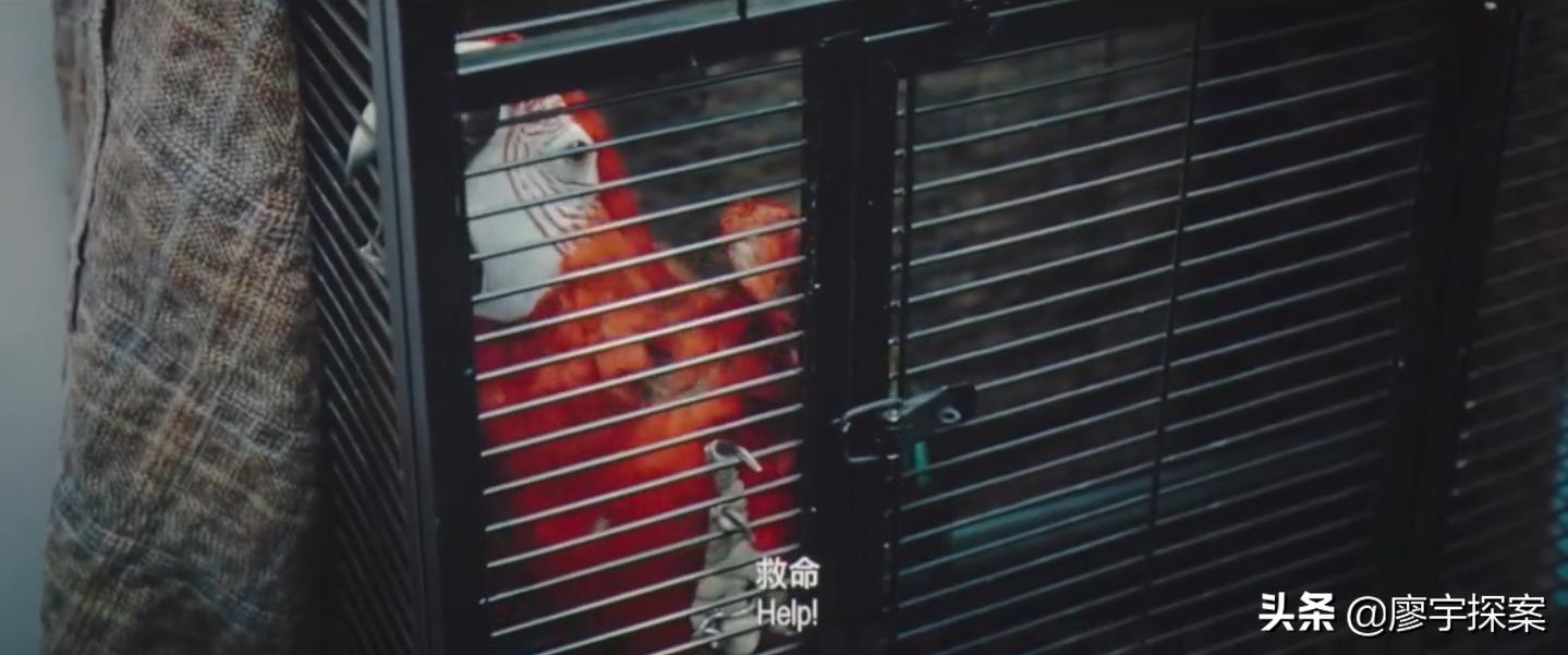 名侦探鹦鹉,名侦探鹦鹉破案