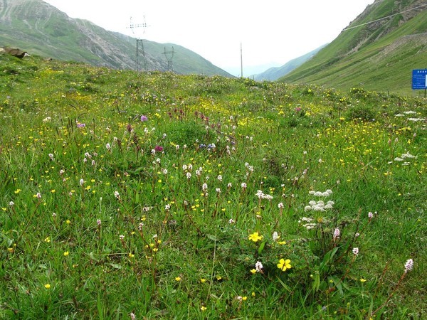 四姑娘山冬日旅行,2022年冬天四姑娘山游记