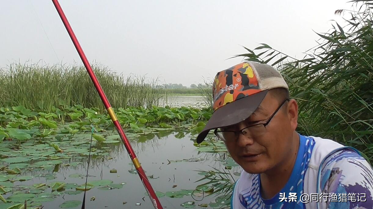 河北鱼竿厂8.1米鱼竿,河北鱼竿