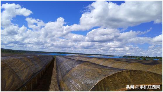 汇仁品牌产品直供,汇仁工厂供应链