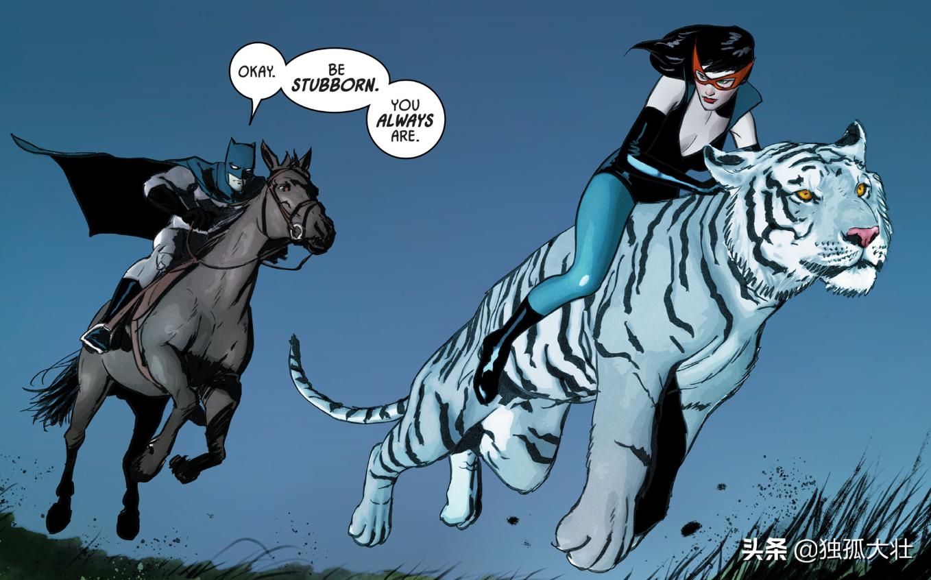 猫女为什么不跟蝙蝠侠在一起,蝙蝠侠回归了还带猫女