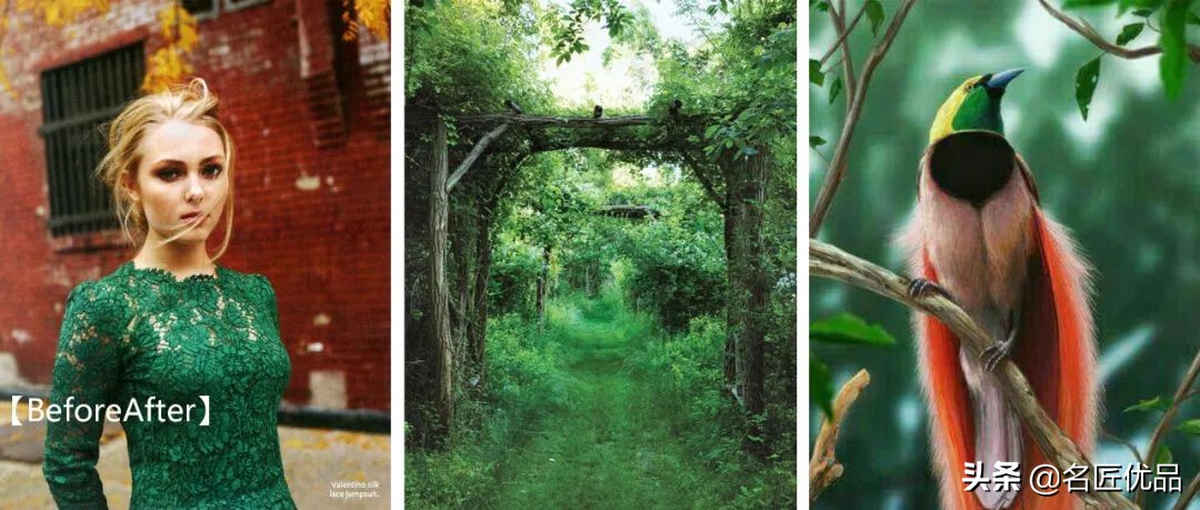 爱是一道光!治愈系祖母绿,宝石盛开的花园,绝美惊艳400年