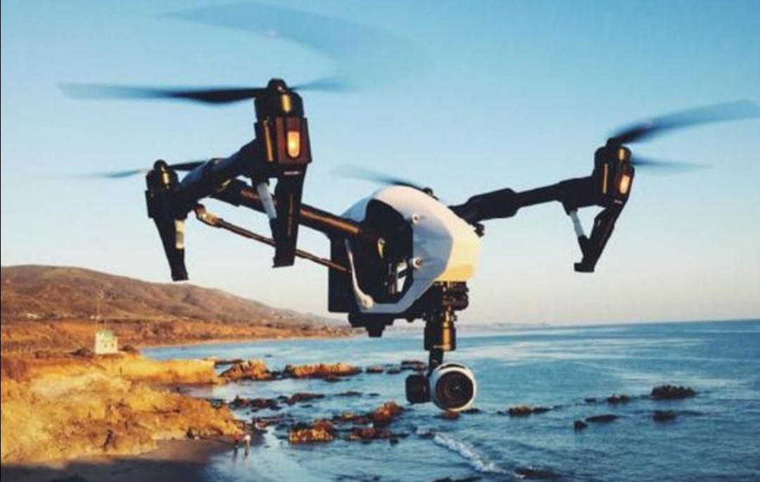 打不死的小强有虫吗,打不死的小强