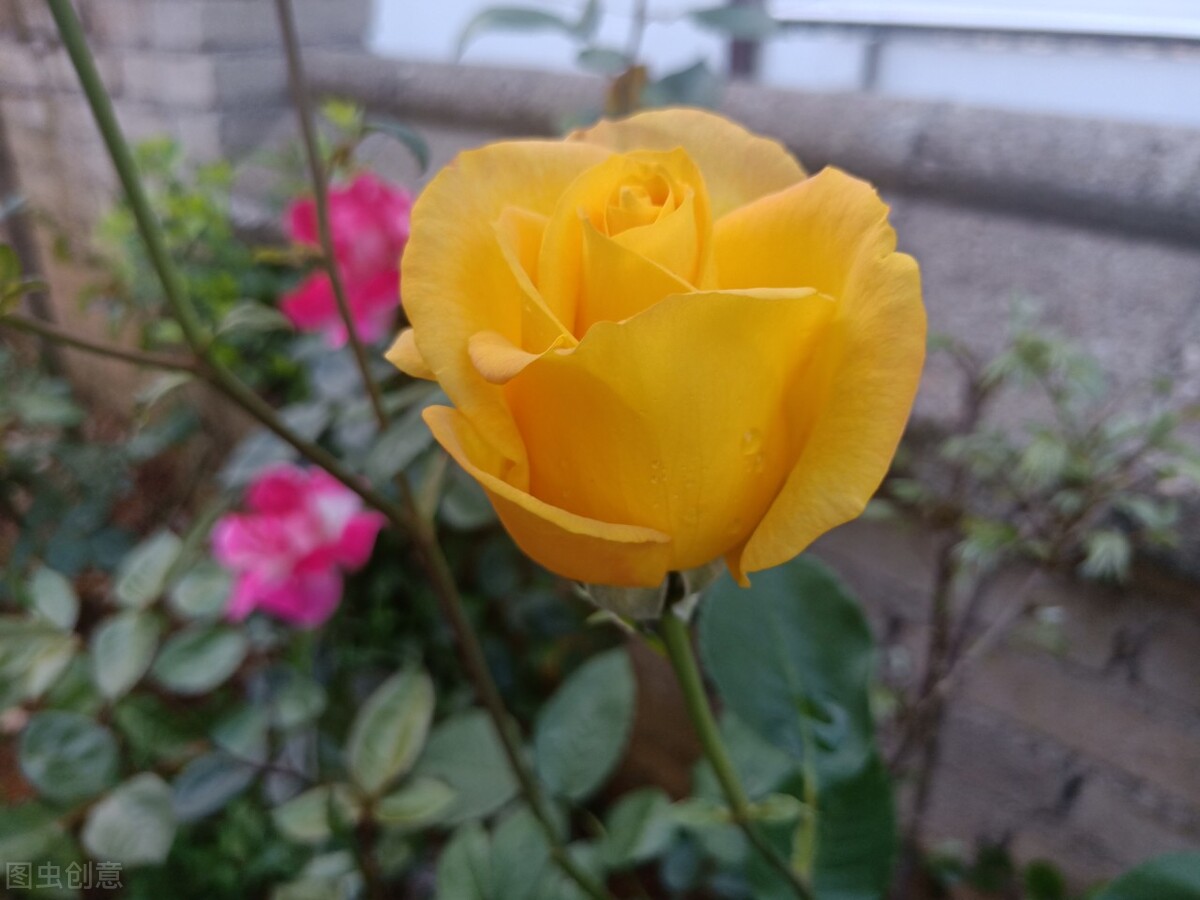 孩子对相亲越来越排斥反感怎么办,男孩反感相亲是什么原因