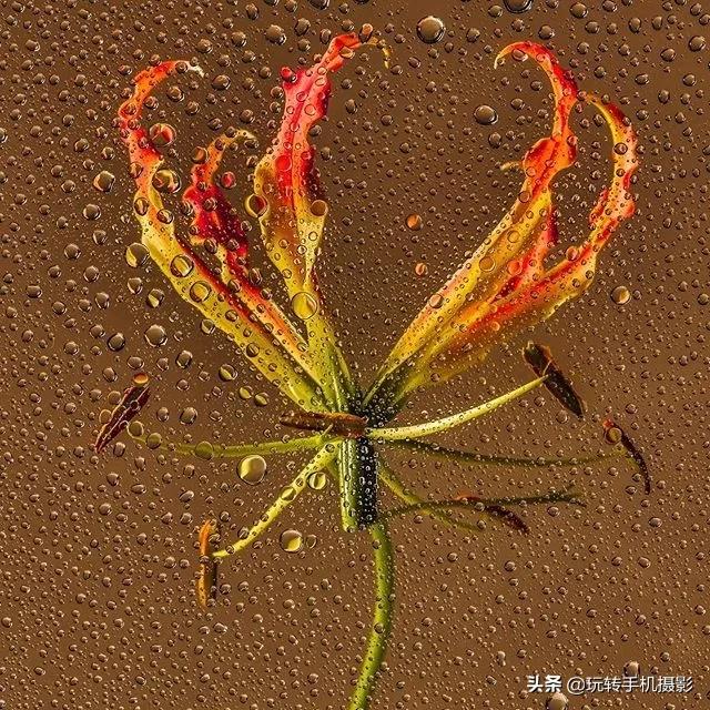 宅宅的风格拍照,绝美宅家拍照教程秒get氛围感照片