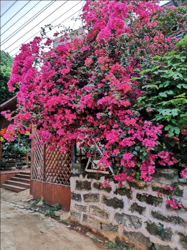 热带雨林中的蓬莱,热带岛屿游玩攻略
