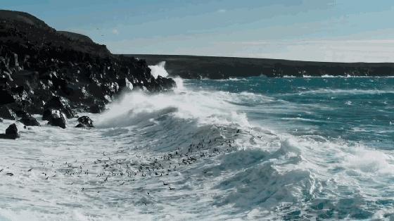 长春家长都领着孩子在干这件事儿,你没做,就落后了!