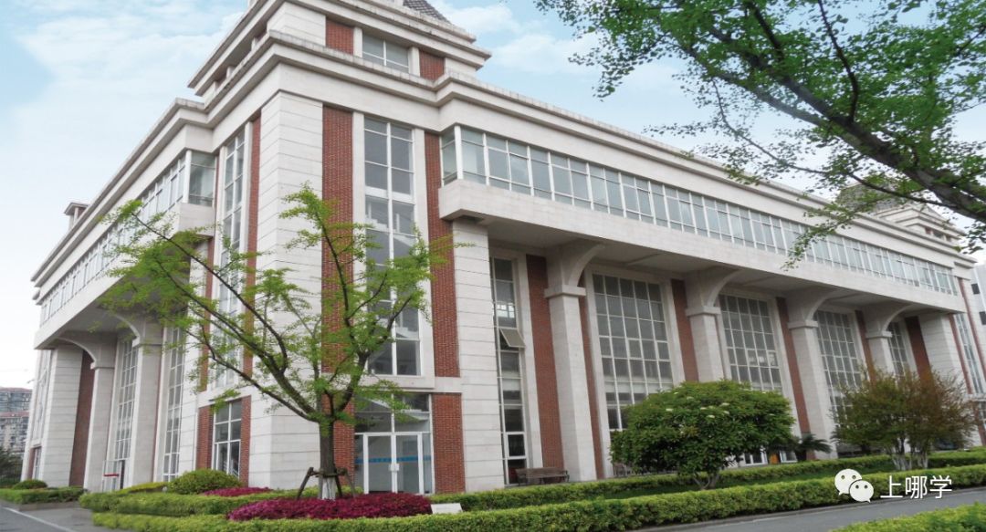 上海宝山区小学排名前十,上海宝山区小学排名大全